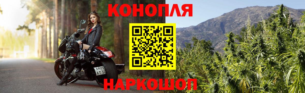 Бошки марихуана семена Дербент